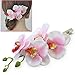 ETSYG Graceful Hair Flowers - Hawaiian Orchid Flower Hair Clips (Pack of 2: White and Pink)