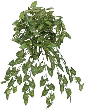 Arcadia Silk Plantation SIX 30" Nepthytis Artificial Hanging Bushes