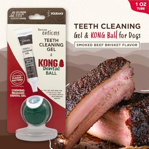 Image of TropiClean Enticers Kong Dental Ball Kit for Medium Dogs | Teeth Cleaning Gel | Smoked Beef Brisket Flavor | 1 oz.