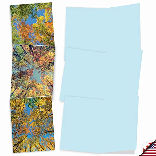 Image of The Best Card Company - 10 Beautiful Note Cards Blank (4 x 5.12 Inch) - Fall and Autumn Season, Boxed Notecard Assortment - Over the Top M2006