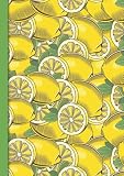 Citrons: Carnet de Croquis