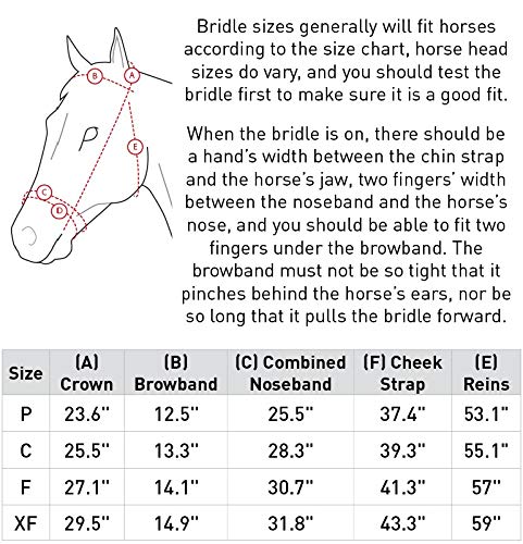 HORZE Weston Padded Leather Snaffle Bridle with Flash Noseband and Web Reins | English Bridle for Horses - Brown - Pony