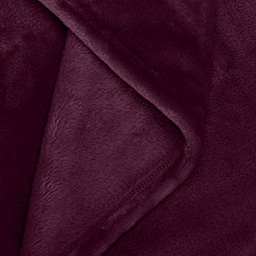 Amazon Basics Überwurf Kuscheldecke, Nicht beheizt, aus weichem, samtigem Plüsch, 168 x 229 cm, Aubergine