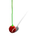 Neo Sportings Hanging Cricket Ball Trainer 3.5m Rope | Batting Practice Tennis Ball | Cricket Training Aid for Hand Eye Coordination | Practice Ball for Indoor & Outdoor Cricket gallery image