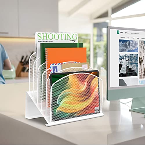 Delifox Inclined Desk File Organizer, 5-Section Vertical File Folder Holder Mail Sorter Stand Up Metal Rack For Office Classroom Desktop Organization #TOP6