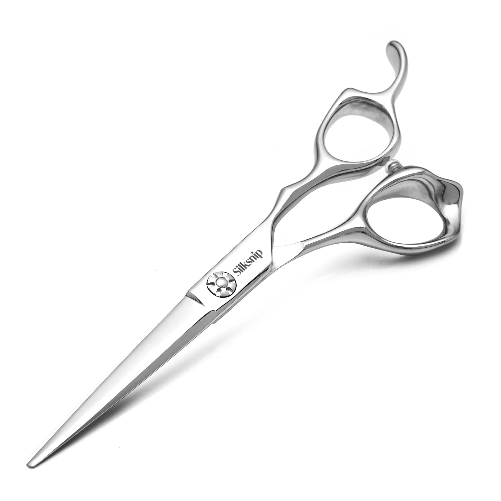 Professional Hair Cutting Scissors Barber Shears with Leather Case