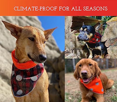 Spot The Dog! Reflective Dog Bandanas - Reversible High Visibility Safety Dog Accessories For Small, Large Dogs, Collar, Scarf, Bib Gear For Hunting, Walking At Night (Blaze Orange, Red Plaid, L-Xl) #TOP3