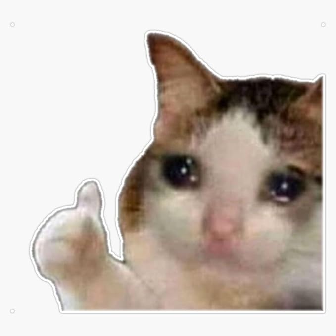 Amazon.com - Cat Crying Meme Sticker Vinyl Waterproof Sticker Decal Car ...