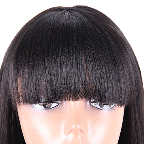 Hair Way Straight Wigs With 500% Human Hair And 50% Premium Japanese Fiber Like Real Human Hair Wig For Black Women Synthetic Wigs Straight Hair With Bangs For Daily Wear 14Inches #1B #TOP4
