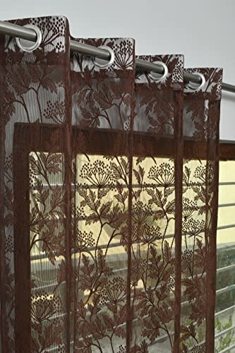 Image of Galaxy Home Decor Transparent Lily Net Curtain Sheer Curtains for Window 5 Feet, Pack of 3, Brown