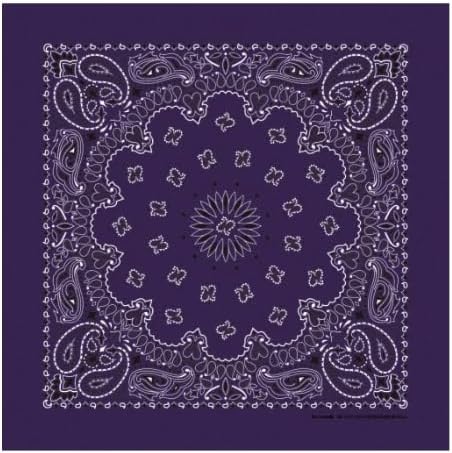 Plum Paisley Bandanna, 22x22, Made in USA