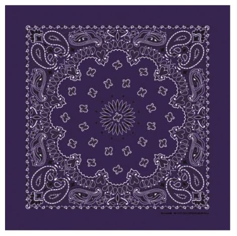 Hav-A-Hank Plum Paisley Bandanna, 22x22, Made in USA