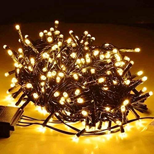 Catena Luminosa per interno 500 mini led Luce