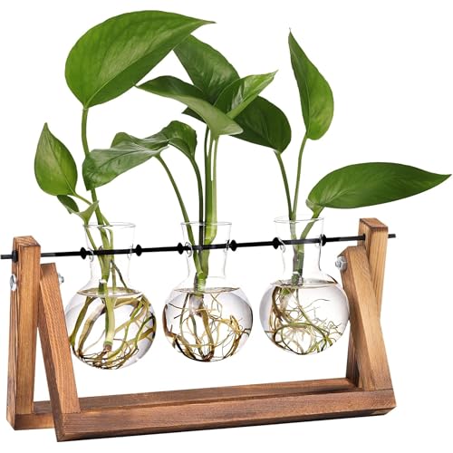 Modern Plant Glass Propagation Station - 3 bombillas de cristal con soporte de madera retro - Jarrón de flores para interior para hidroponía - Decoración de mesa para casa verde - Thoughtful Decor