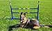 ActiveDogs Agility Fixed Base Jump - High Grade PVC Indoor or Outdoor Dog Obstacle Agility Training Exercise Equipment