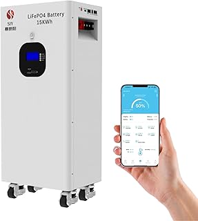 15kWh 48V 300Ah LiFePO4, 51.2V Lithium Batterie 10000+ Cycles avec 200A BMS 15360Wh Batterie Rechargeable pour Stockage de l'énergie Domestique, VR, Solaire, Off-Grid systèmes