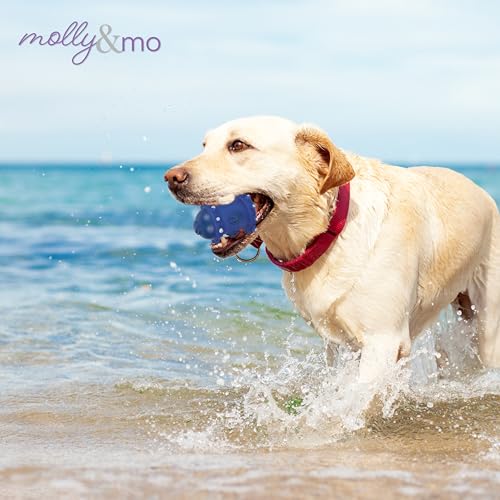Juguete mordible para perro Molly & Mo azul oscuro miniatura 2