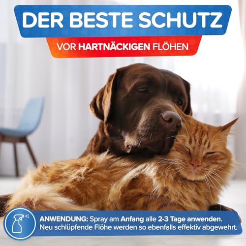 Patronus Floh-Spray für Wohnung & Umgebung 500 ml - effektives Abwehr-Mittel gegen Flöhe mit Sofortschutz - hochwirksam & laborgeprüft - mit dezentem Eukalyptus-Zitrusduft