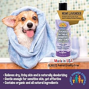 Bodhi Dog Organic Lavender Oatmeal Dog Shampoo and Conditioner | Hypoallergenic Conditioning Deodorizing Formula for Dogs Cats  Pets | Treatment Wash Soothes Dry Itchy Skin Allergy Relief 8 Fl Oz  Cucciolini Doodles Bodhi dog organic lavender oatmeal dog shampoo and conditioner | hypoallergenic conditioning deodorizing formula for dogs cats  pets | treatment wash soothes dry itchy skin allergy relief 8 fl oz   cucciolini doodles