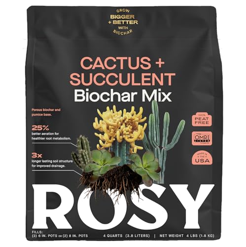 Cactus and Succulent Organic Potting Soil Mix for House Plants - Fast Draining, Root Boosting, Peat-Free, Less Prone to Gnats - Drought-Tolerant - Growth of Aloe Vera, Cacti and Indoor Succulents- 4qt