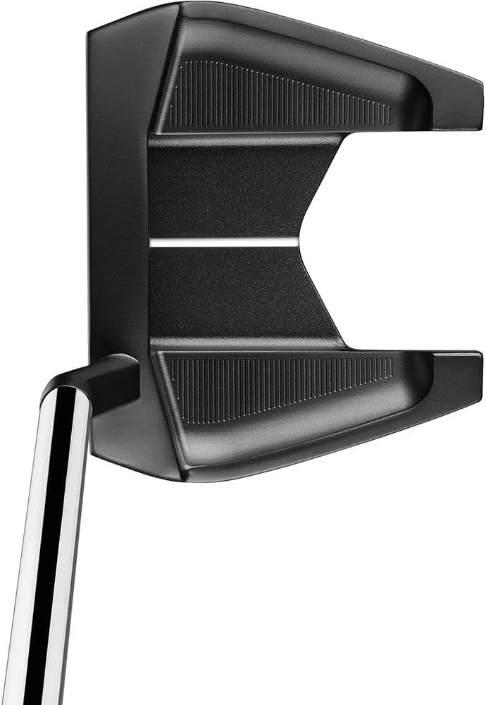 TaylorMade Golf TP Black Putter Palisades