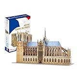 El interés popular en la catedral floreció poco después de la publicación, en 1831, de la novela de Victor Hugo The Jorobado de Notre-Dame. Esto llevó a un gran proyecto de restauración entre 1844 y 1864, supervisado por Eugène Viollet-le-Duc, que agregó el icónico pico de la catedral.