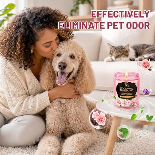 Image of Rose Odor Eliminating Candles, Pet Scented Candles for Home, Single Wick Soy Candle Gifts for Women, Men, Ideal for Creating Relaxing Atmosphere, Over 50 Hours of Burn Time (Pack of 2)