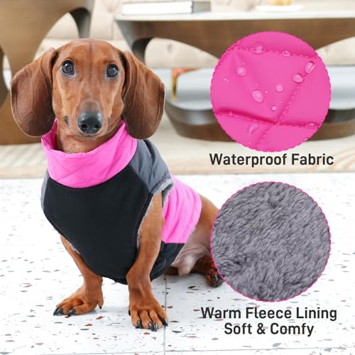 Abrigo para perro mediano JoyDaog talla XL miniatura 5