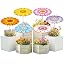 Floral design 1