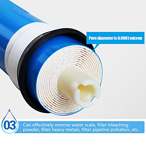 1812-75G Osmosi inversa 75GPD Membrana RO