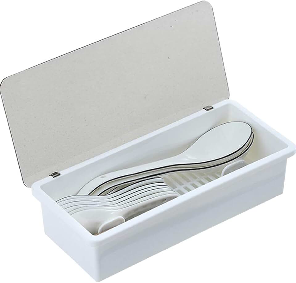 silverware tray with lid