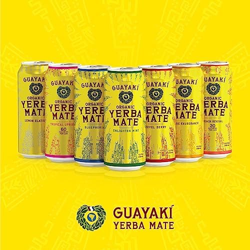 Yerba Madre Organic Enlighten Mint Yerba Mate 4pk, 15.5 FZ