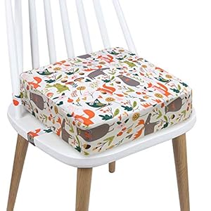 Toddler Booster Seat Dining, Cartoon Canvas Washable 2 Straps Safety Buckle Kids Booster Seat for Dining Table, Portable…
