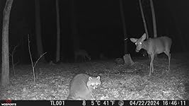 Review Image by Nikki Jerabek Nikki Jerabek