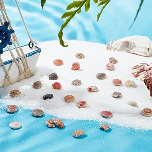PandaHall Elite Colorful Tiny Sea Shell Ocean Beach Spiral Seashells Craft Charms for Resin Craft Candle Making Home Decoration Beach Theme Party Wedding Decor Fish Tank Vase Filler, No Hole, 190g