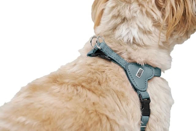 Foto 7 de 8 de HUNTER Soho Mini - Arnés para Perros, Color Azul Claro, Piel de Vacuno, Suave y Flexible, Suave al Tacto…