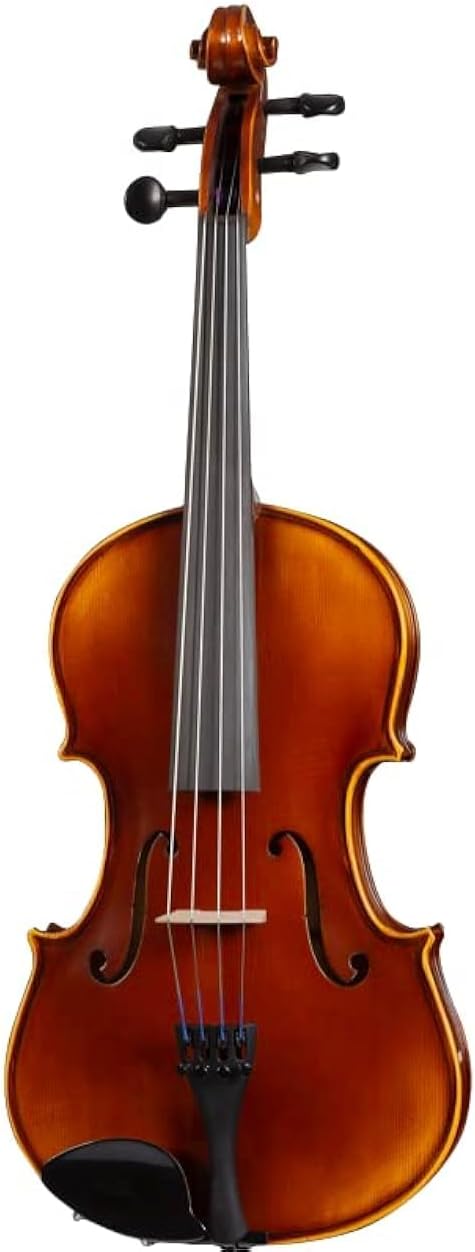 D Z Strad viola Model 120 with Strings, Case, Bow, Shoulder rest, and Rosin (16.5" - Size)