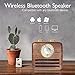 Greadio Retro Speaker Radios, Wireless Bluetooth Speaker with Wood FM/WB NOAA Weather Radio, Natural Walnut Material, Loud Clear Sound for Home, Office, Travel