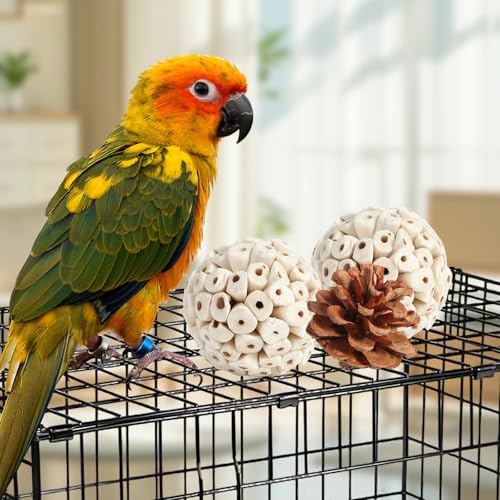 Image of Kyouki Bird Toys Parrot Natural Bird Foraging Box Foot Toys for Parakeets,Cockatiels,Conures,Love Birds,and Other Small to Medium Birds (Large)