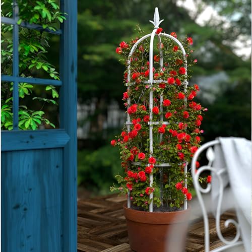 Support obélisque en métal pour plantes grimpantes et légumes – Treillis de jardin antirouille 160 cm pour tomates, courges, courgettes, pois, raisins, fleurs – Décoration extérieure
