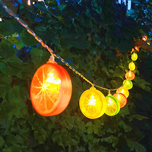 Riaxuebiy Lemon Slice Decor Lights Lemon Green Leaf Vine Fairy Lights 3M 20LED USB Powered Fruit Garland Lamp for Kitchen Patio Fence Camping Holiday Party Summer Decoration (Mixcolor Lemon) - Image 4