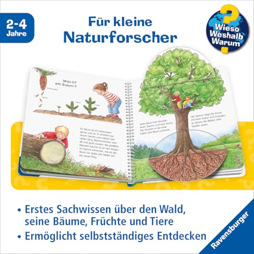 Wieso? Weshalb? Warum? junior, Band 6 - Der Wald (Sachbuch ab 2 Jahre - mit Klappen) (junior, 6)