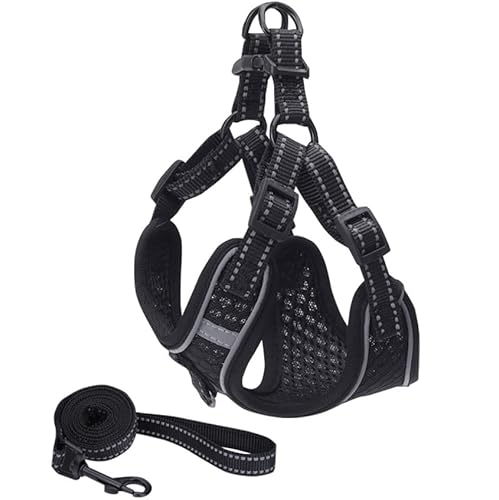 n[lX [h ^ ^ ^ LaLUCA n[lX[hZbg X^_[h Ȃ p   U LaLUCA GOODS