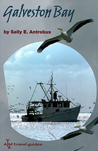 Galveston Bay (Gulf Coast Books, sponsored by Texas A&M University-Corpus Christi Book 8)