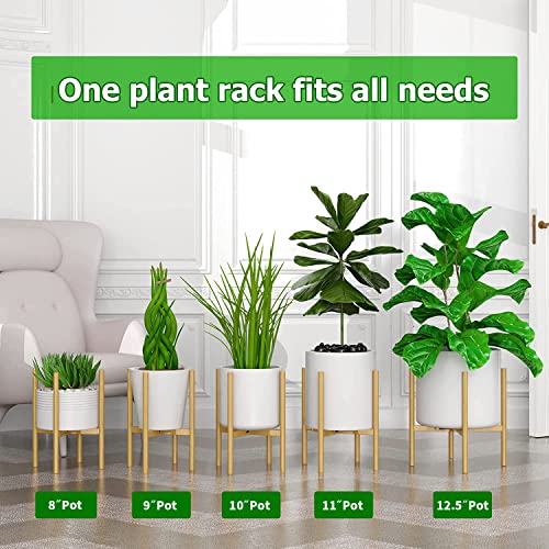 Eknitey Adjustable Plant Pot Stand: Indoor Outdoor Modern Flower Holder Metal Plant Rack Organizer Planter Stand For Garden Patio Corner Bathroom Living Room Balcony Home Office (Gold) #TOP2