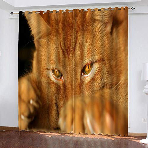 CASFSBLO 2 Panneaux Rideaux Occultants Chat Orange Rideau Occultant Voilage Thermique Chambre Doux Polyester Rideaux à Oeillets Élégant Décoration pour Chambre Salon 85x200cm