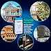 TEMPIQ Remote WiFi Temperature & Humidity Sensor - App Integration, Alerts, Helps Monitor 2nd Home, AirBnb, RV, Pets,Freezer and Server Room, Indoor & Outdoor Hygrometer & Thermometer