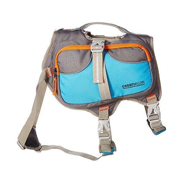 Cesar-Millan-Dog-Backpack-Small Adventure-Ready Cesar Millan Dog Backpack - Small Size for Active Canines