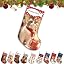 Christmas Stockings2