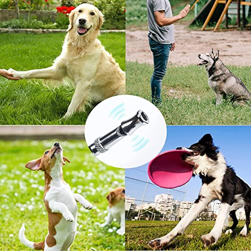 2 Pack Dog Whistle With Lanyard, Adjustable Ultrasonic Silent Dog Whistle, Recall Training, Behavior Training For Dogs, Professional Recall Dog Training Whistles, Stop Neighbors Dog From Barking #TOP4